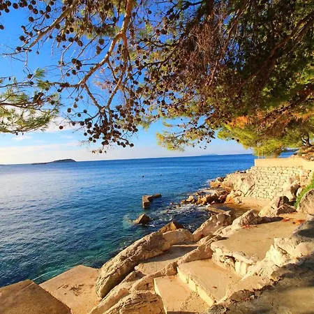 Apartments Villa Steffi Daire