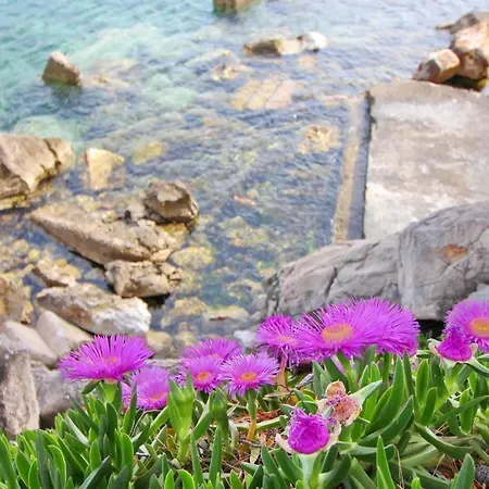 Apartments Villa Steffi Daire