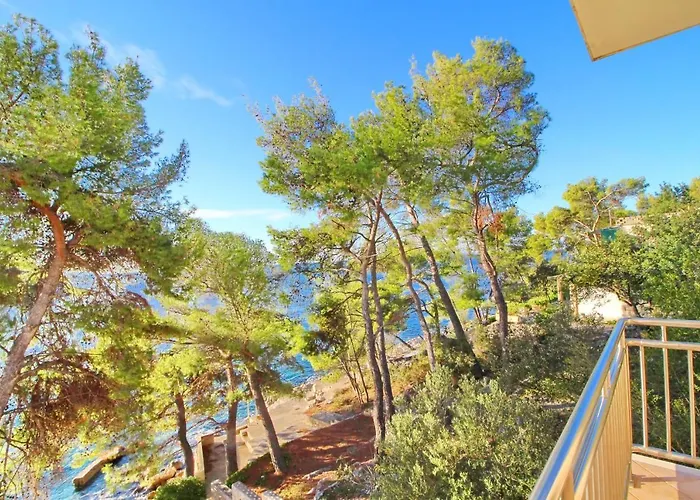 Steffi アパート *